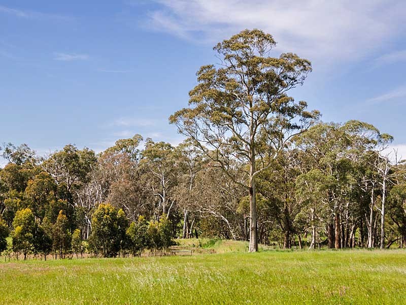 11 Oinns Road, Echunga SA 5153