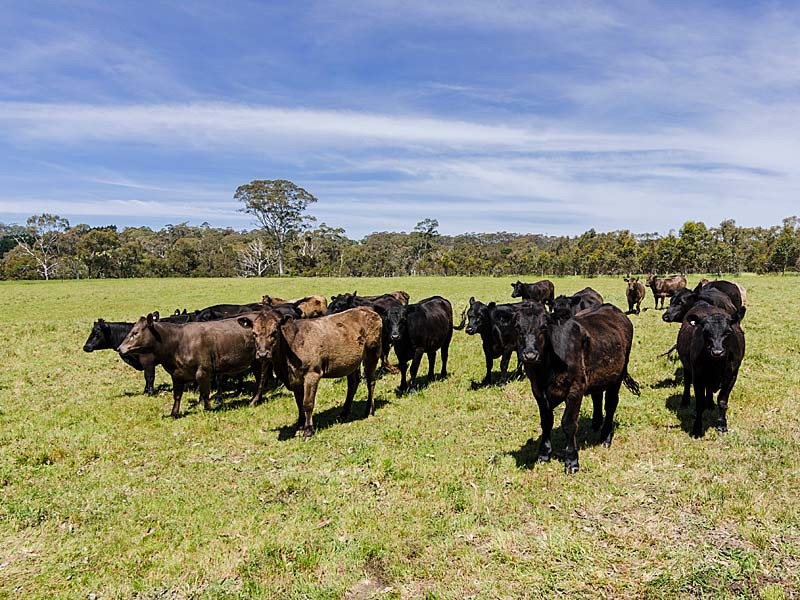 11 Oinns Road, Echunga SA 5153