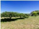 70 Wenzel Road, Balhannah SA 5242