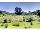 Lot 103 Greenhill Road (The Lane), Summertown SA 5141
