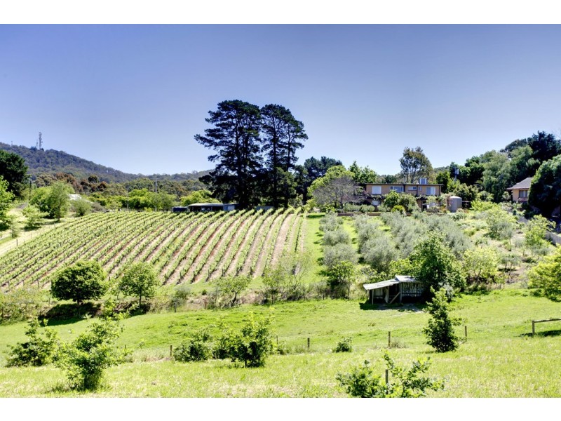 Lot 103 Greenhill Road (The Lane), Summertown SA 5141