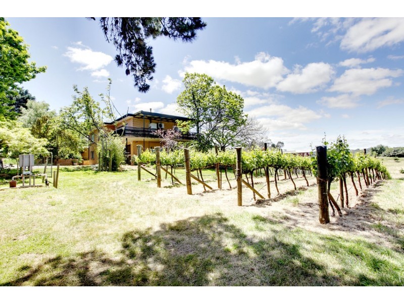 Lot 103 Greenhill Road (The Lane), Summertown SA 5141