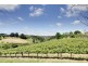 Lot 103 Greenhill Road (The Lane), Summertown SA 5141