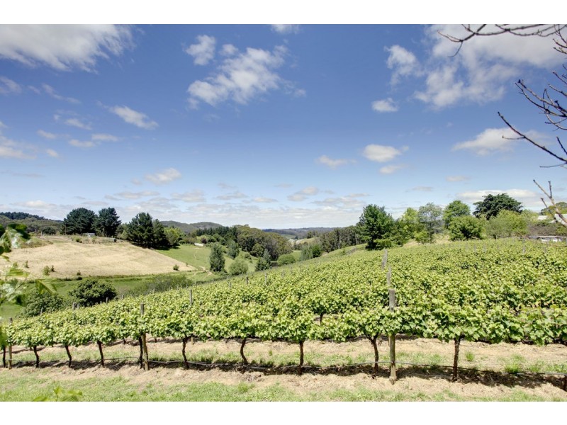 Lot 103 Greenhill Road (The Lane), Summertown SA 5141