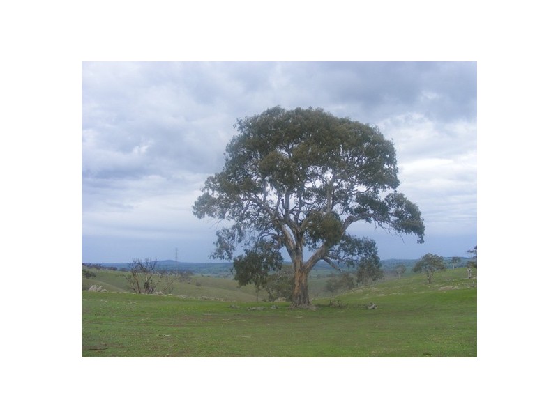 Lot 1 Range Road (off Steep Hill Rd), Rockleigh SA 5254