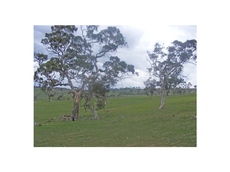 Lot 1 Range Road (off Steep Hill Rd), Rockleigh SA 5254