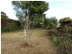 31 Eva Street, Williamstown SA 5351