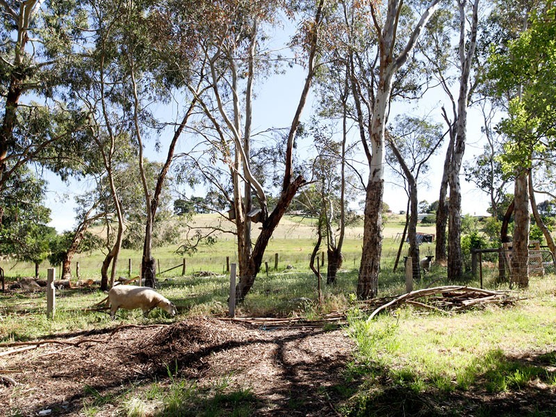 22 Adelaide/Lobethal Road, Lobethal SA 5241