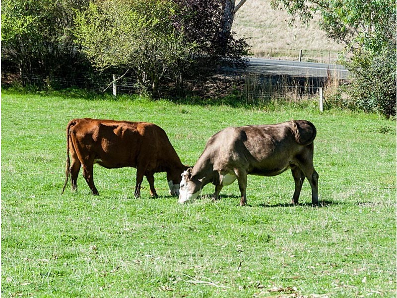 66 Woodside Road, Lobethal SA 5241
