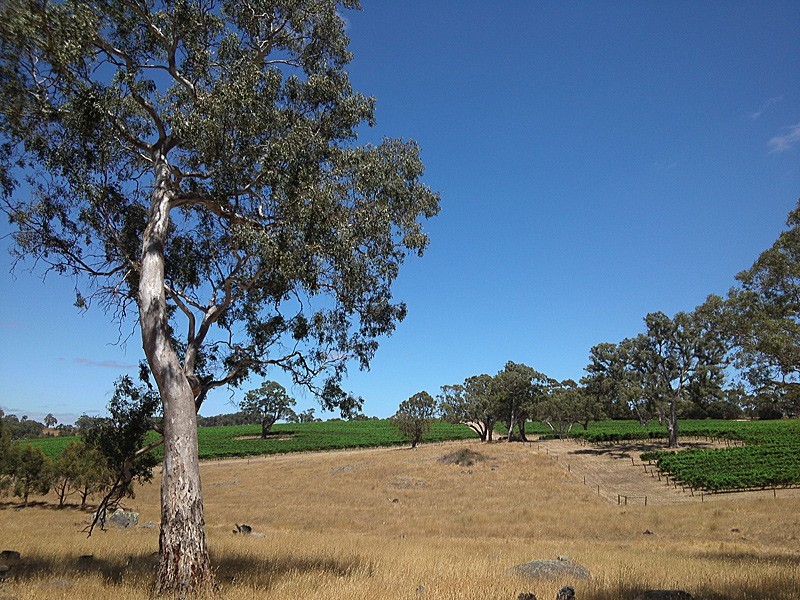 278 Bird In Hand Road, Woodside SA 5244