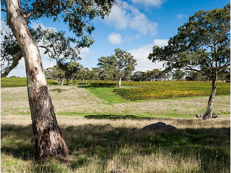 278 Bird In Hand Road, Woodside SA 5244