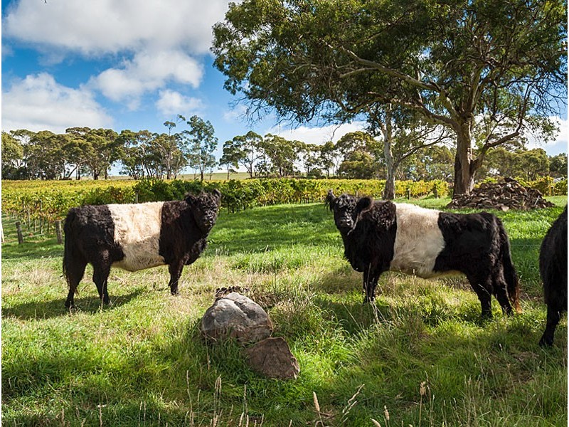 278 Bird In Hand Road, Woodside SA 5244