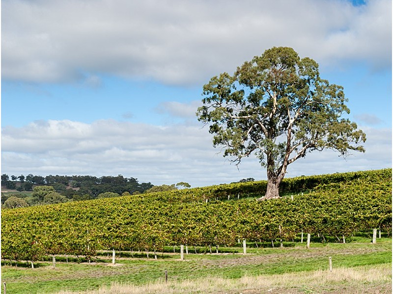 278 Bird In Hand Road, Woodside SA 5244