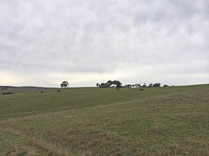 Lot 2 Wachtel Road, Harrogate SA 5244