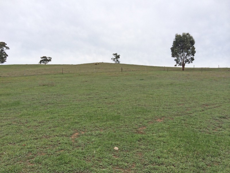 Lot 2 Wachtel Road, Harrogate SA 5244