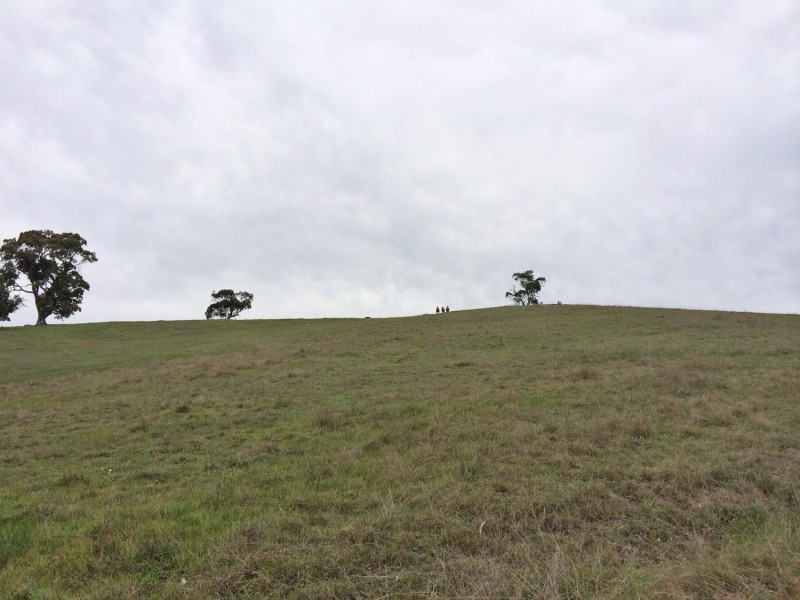 Lot 2 Wachtel Road, Harrogate SA 5244