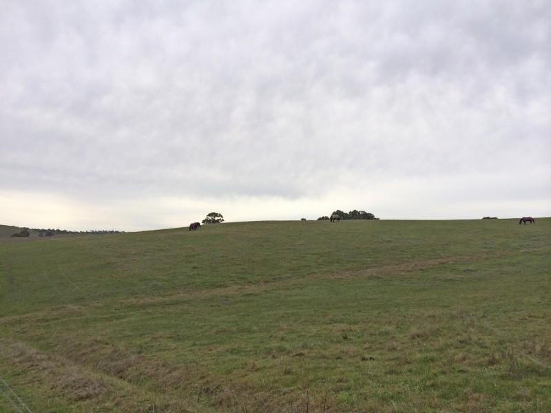 Lot 2 Wachtel Road, Harrogate SA 5244
