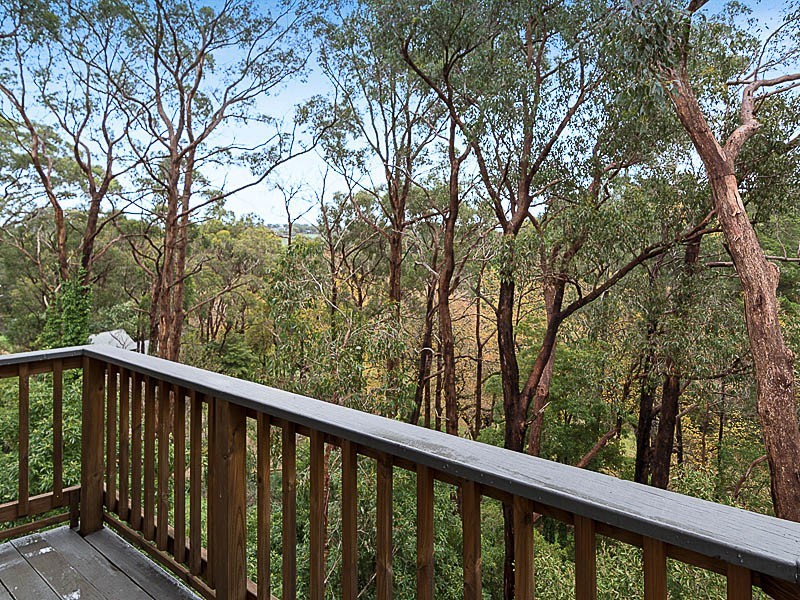 38 Whitewood Drive, Upper Sturt SA 5156