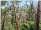 38 Whitewood Drive, Upper Sturt SA 5156