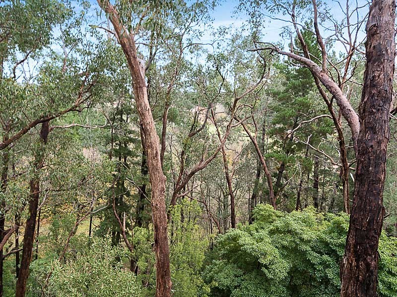 38 Whitewood Drive, Upper Sturt SA 5156