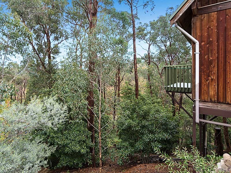 38 Whitewood Drive, Upper Sturt SA 5156