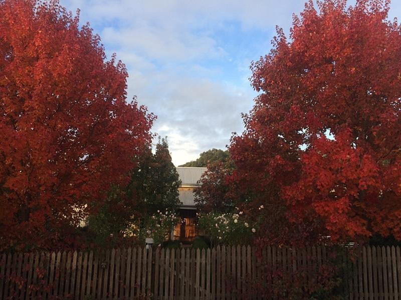 28 Elizabeth Street, Oakbank SA 5243