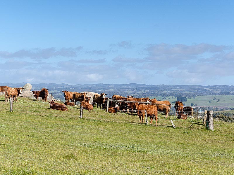 66 Bell Springs Road, Charleston SA 5244