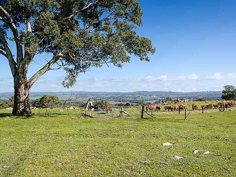 66 Bell Springs Road, Charleston SA 5244