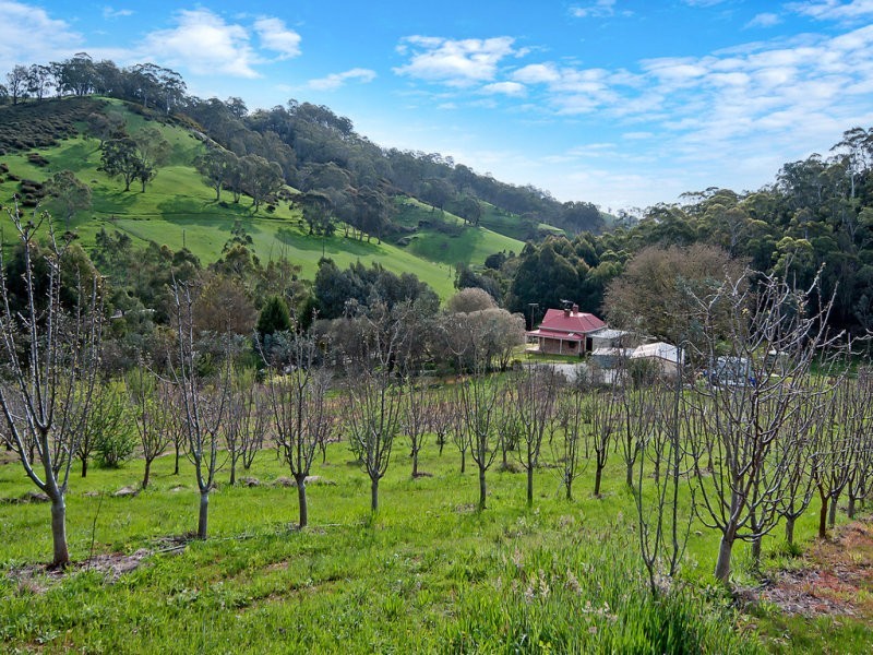 429 Lobethal – Cudlee Creek Road, Lobethal SA 5241