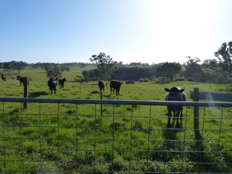 516 Burfords Hill Road, Mount Torrens SA 5244