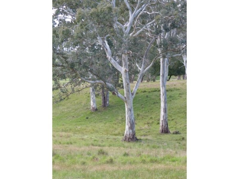 516 Burfords Hill Road, Mount Torrens SA 5244