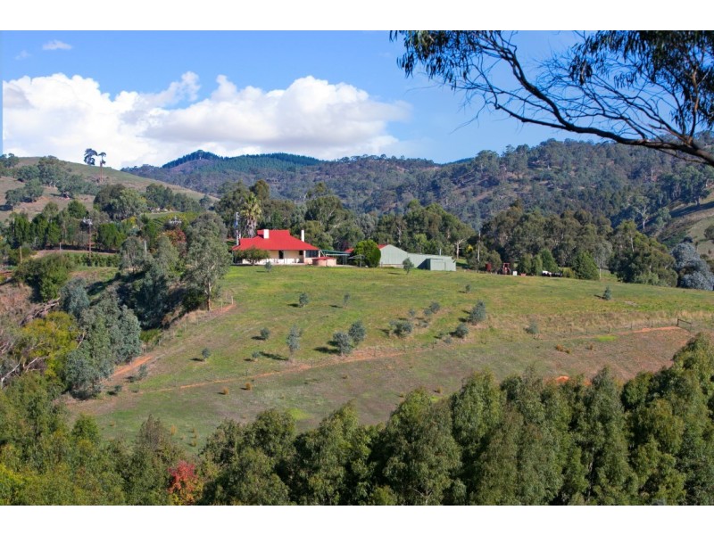 22 Hollands Creek Road, Cudlee Creek SA 5232