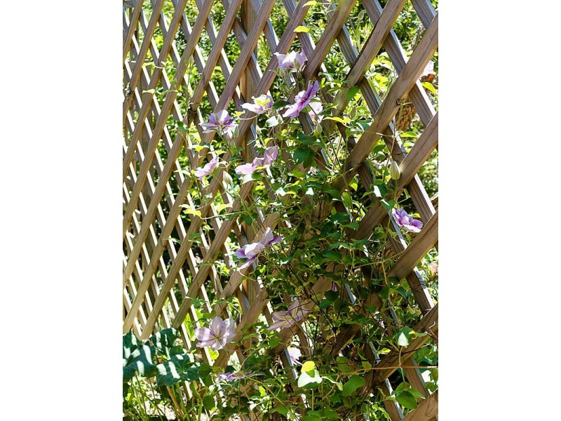 108 Cave Ave, Bridgewater SA 5155