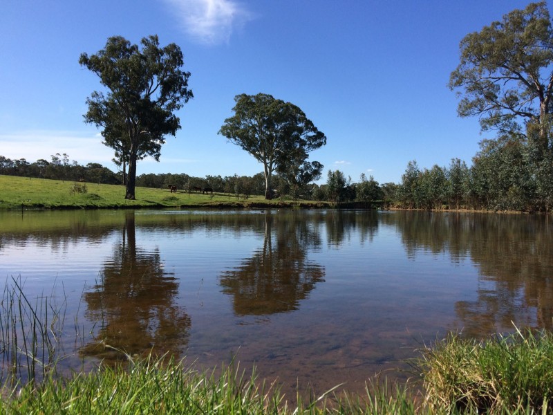 5225 Whitegum Road, Oakbank SA 5243