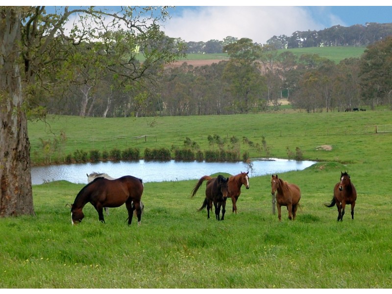 5225 Whitegum Road, Oakbank SA 5243