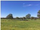5225 Whitegum Road, Oakbank SA 5243