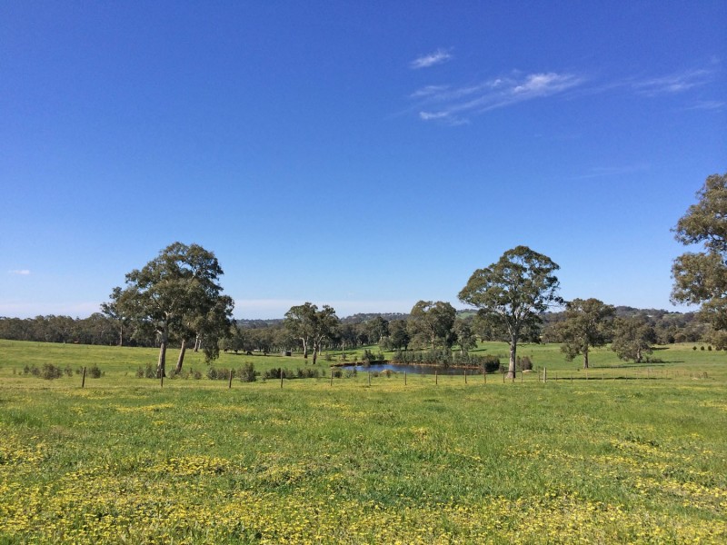 5225 Whitegum Road, Oakbank SA 5243