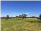 5225 Whitegum Road, Oakbank SA 5243