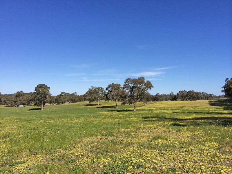 5225 Whitegum Road, Oakbank SA 5243