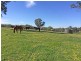 5225 Whitegum Road, Oakbank SA 5243