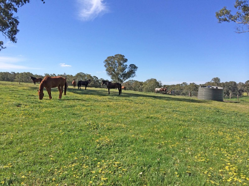 5225 Whitegum Road, Oakbank SA 5243