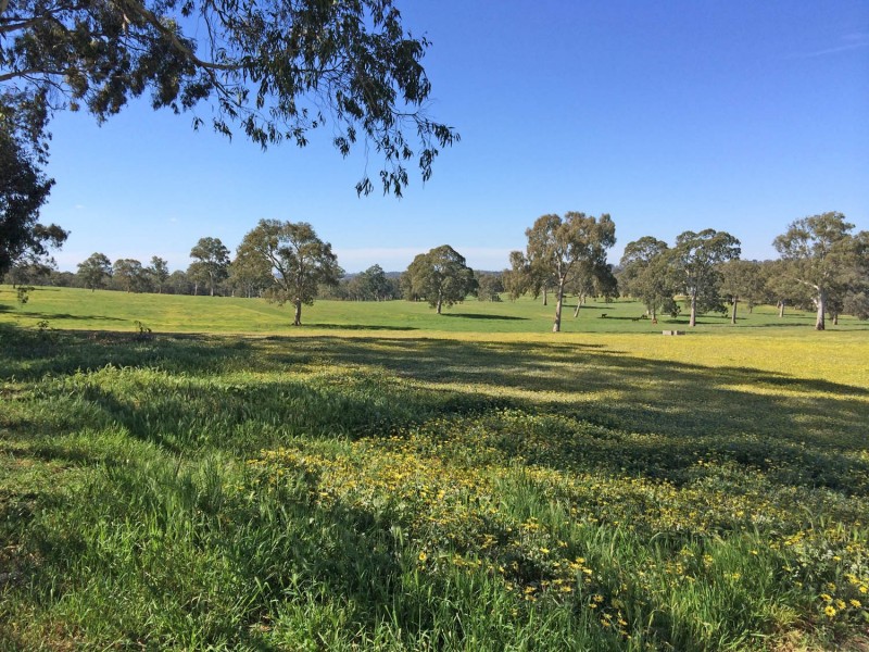 5225 Whitegum Road, Oakbank SA 5243