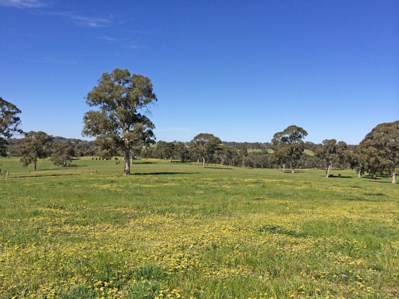 5225 Whitegum Road, Oakbank SA 5243