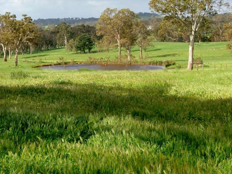 5225 Whitegum Road, Oakbank SA 5243