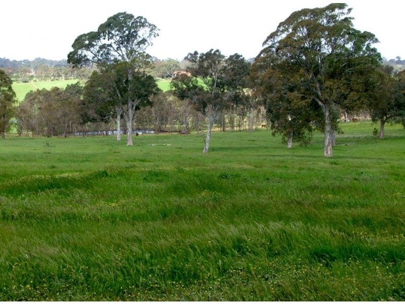 5225 Whitegum Road, Oakbank SA 5243