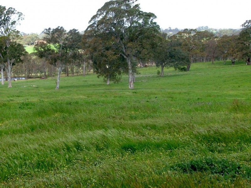 5225 Whitegum Road, Oakbank SA 5243