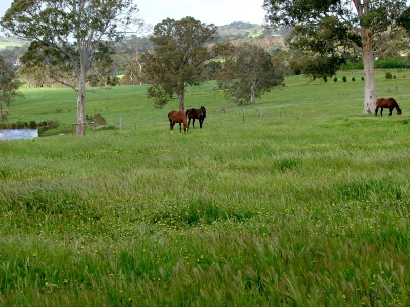 5225 Whitegum Road, Oakbank SA 5243