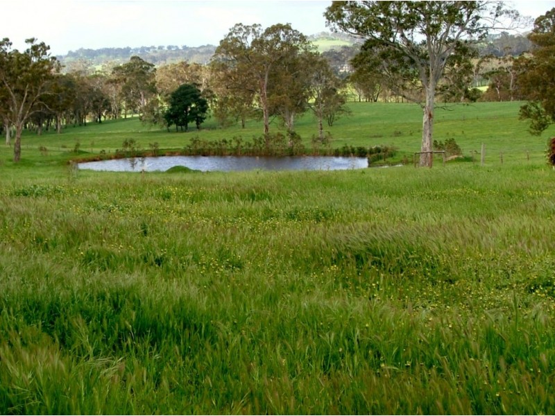 5225 Whitegum Road, Oakbank SA 5243