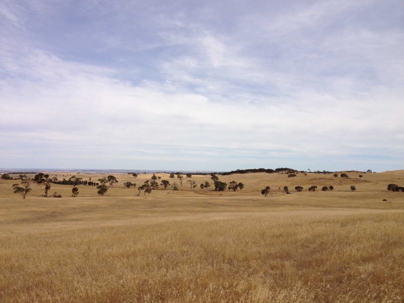 Lot 53 Gogel Road, Rockleigh SA 5254