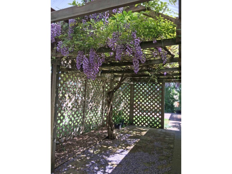 26 Fowler Street, Woodside SA 5244